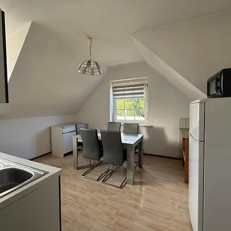 Farida Homes * ケムニッツ